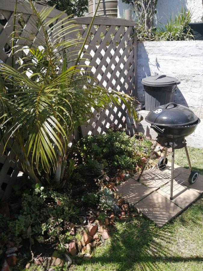 36 Mount Road Guesthouse And Self Catering Port Elizabeth Zewnętrze zdjęcie