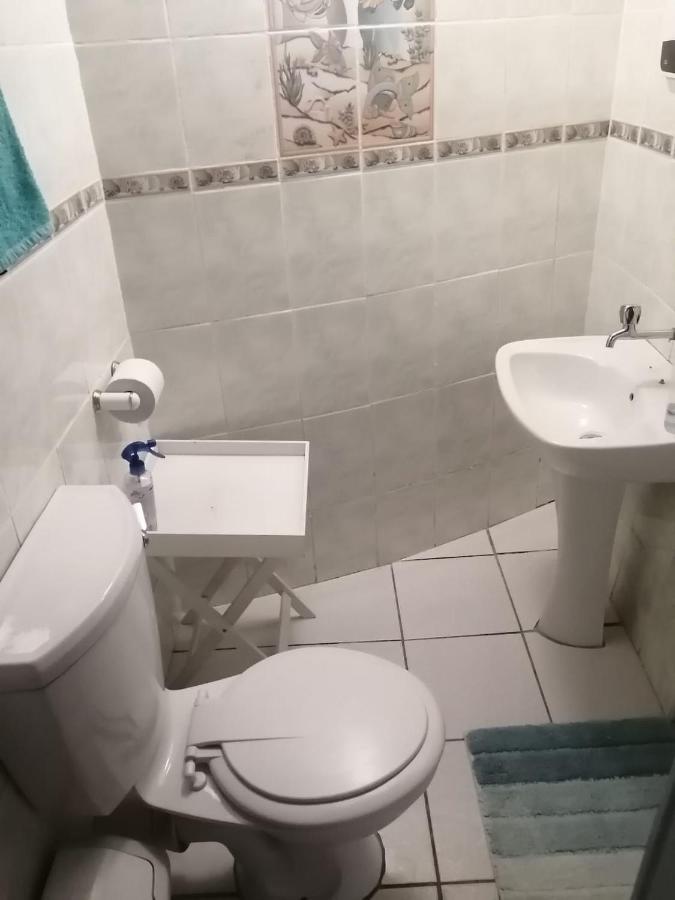 36 Mount Road Guesthouse And Self Catering Port Elizabeth Zewnętrze zdjęcie
