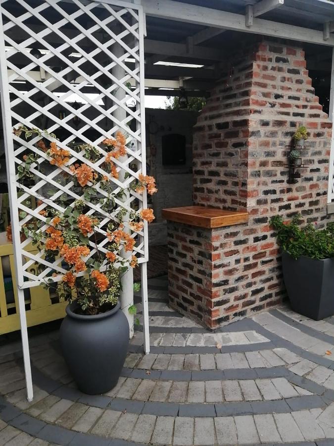 36 Mount Road Guesthouse And Self Catering Port Elizabeth Zewnętrze zdjęcie